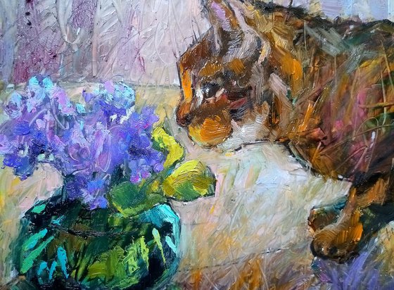 Cat and violets