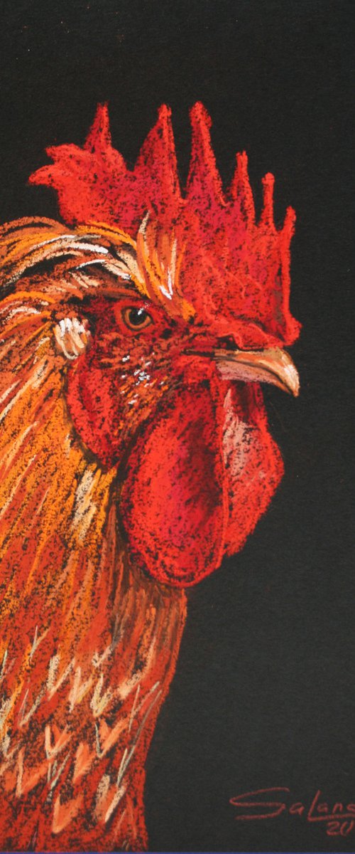 Rooster IX - Pet portrait /  ORIGINAL PAINTING by Salana Art Gallery