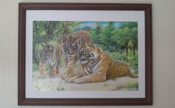 kings of the forest