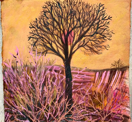 Lone Tree
