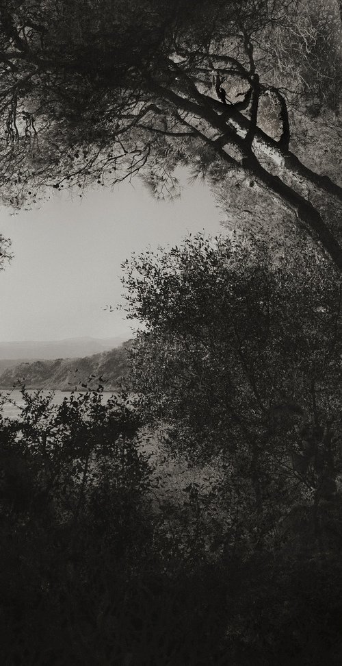 Mediterranean, Solitude Series by Andy Jon Morris