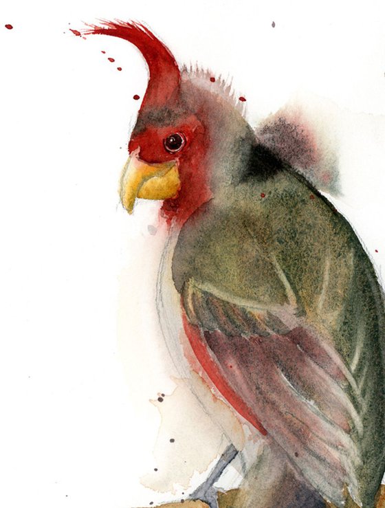 Cardinal Original Watercolor