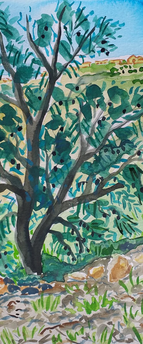 Black olive tree in Andalucia by Kirsty Wain
