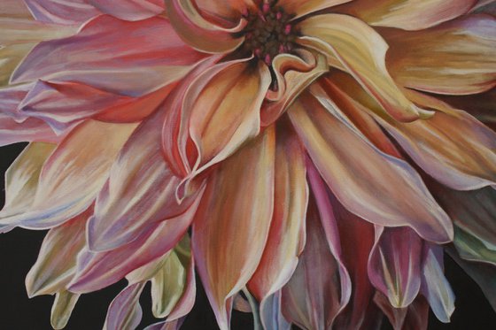 Petal Power Dahlia