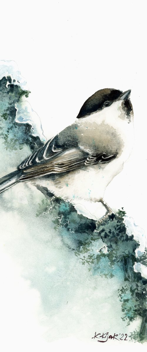Marsh tit, watercolor of birds and wildlife by Karolina Kijak