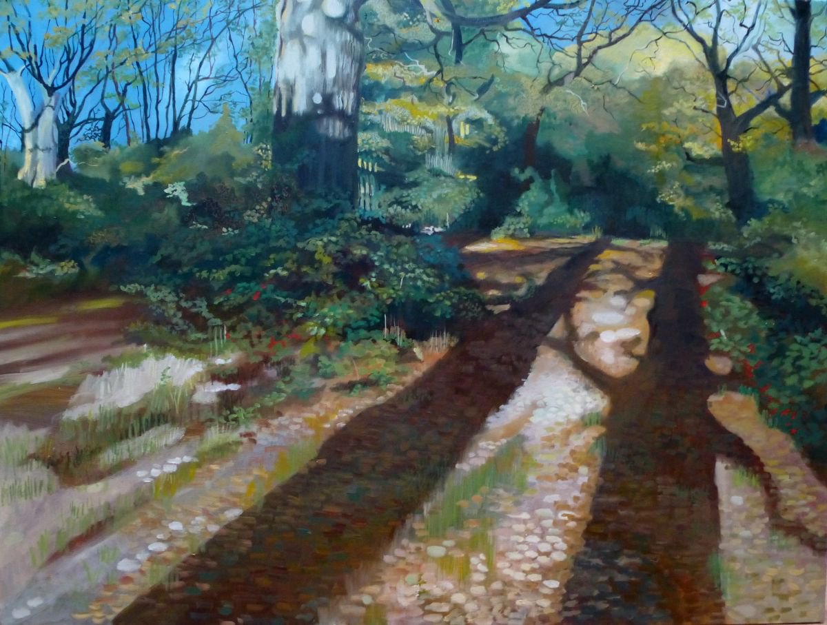 Autumn Shadows - Epping Forest by Alison Chaplin