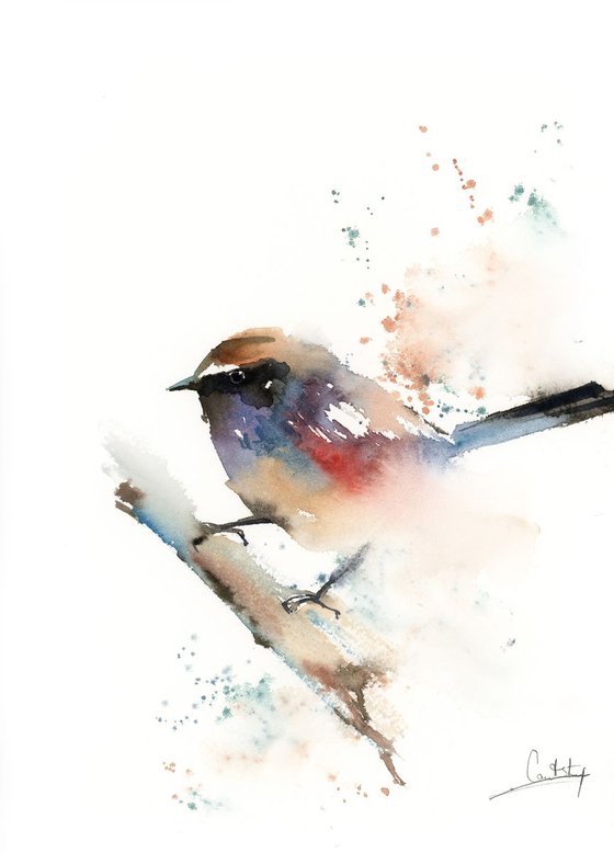 Colourful wren bird watercolor painting