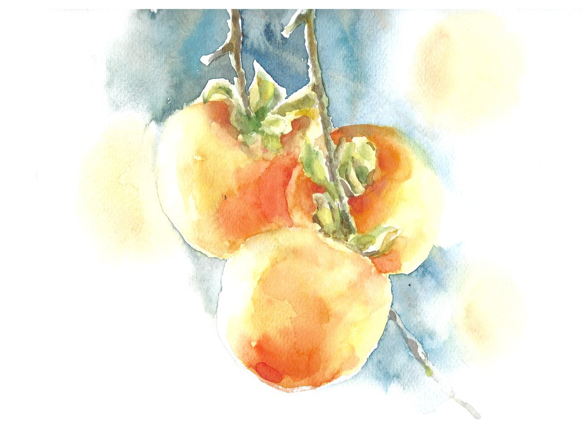 Persimmon fruit watercolor illustration by Tanya Amos
