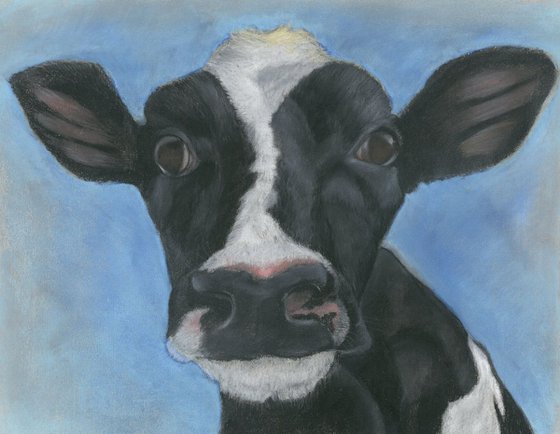 Friesian Cow Pastel Drawing