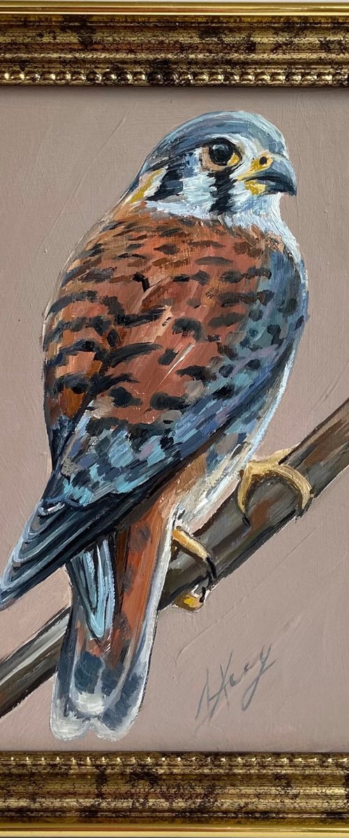 Bird Oil Painting American Kestrel framed 16x20cm 6x8inch by Leysan Khasanova