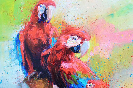 Red parrots"