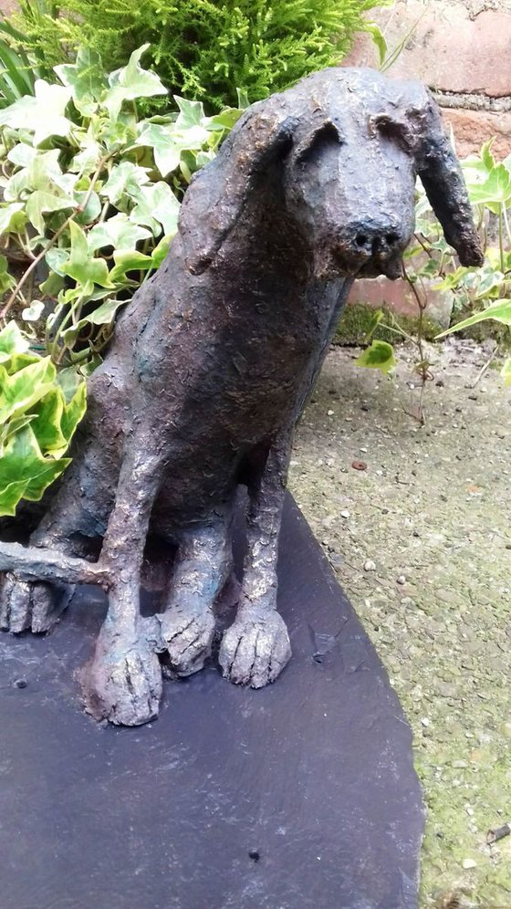 misty dog sculpture