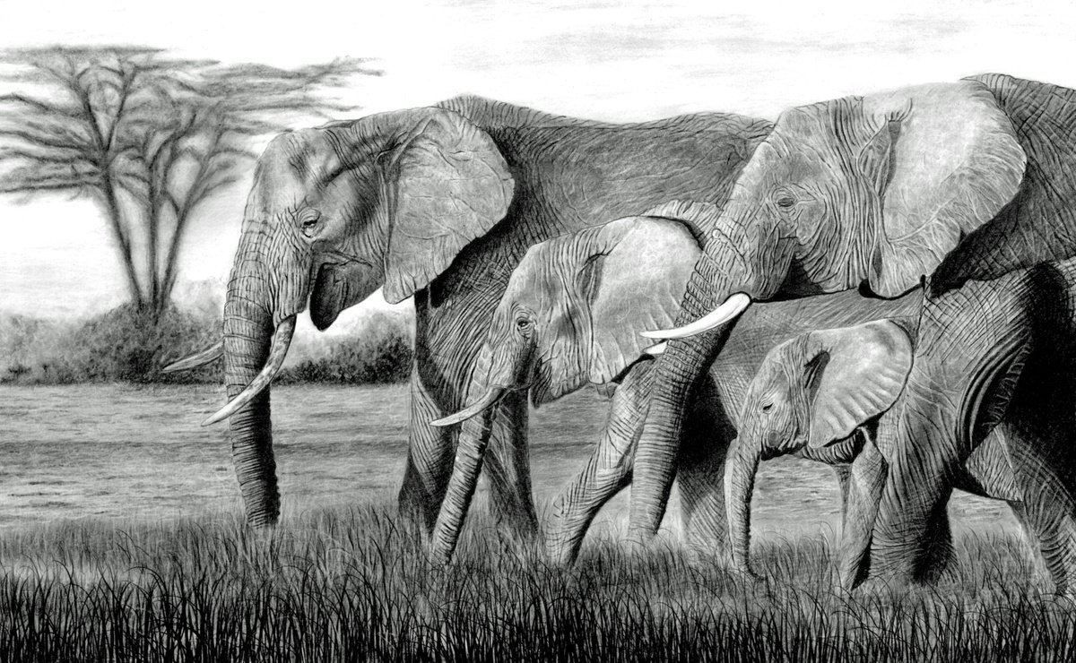 Elephants on the March by Paul Stowe