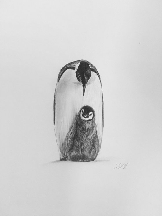 Penguin and chick