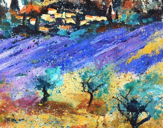 Lavender   in Provence France - 6523