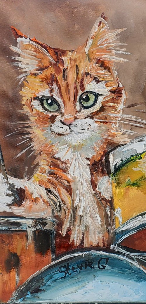 Cat plays drums by Olga Koval