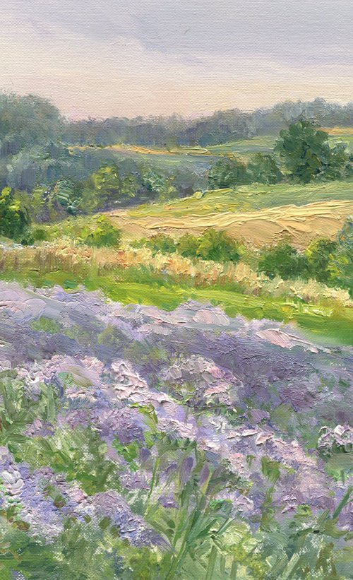 Ukrainian Provence. Flowering phacelia / ORIGINAL oil painting. Plain air summer landscape ~ 14x9,6in (35x25cm) by Olha Malko