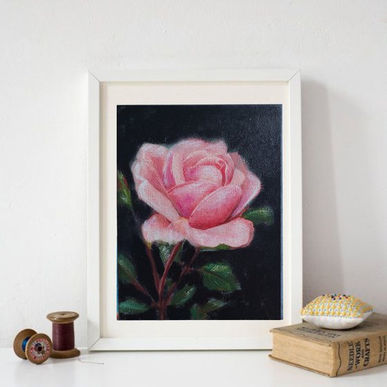 Pink Rose