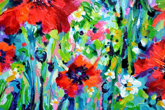 Papaveri Orientali Poppy Oriental Red Poppies