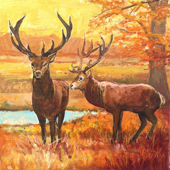 Richmond Park four seasons