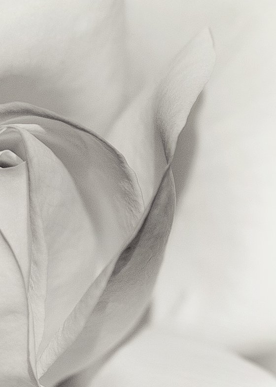 Layers of Beauty - studio edition