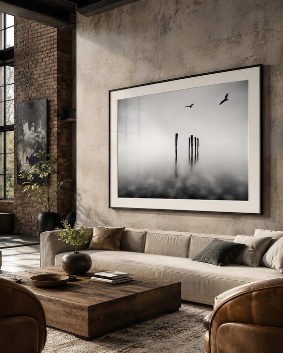 Dreaming in Monochrome