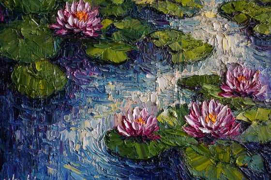 Water Lily Pond