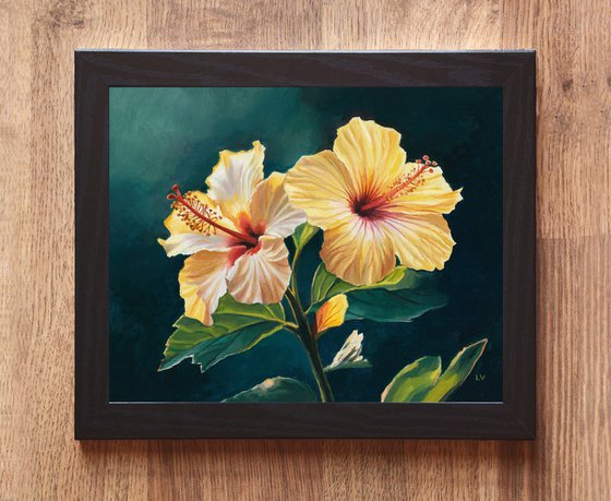 Two yellow hibiscus flowers