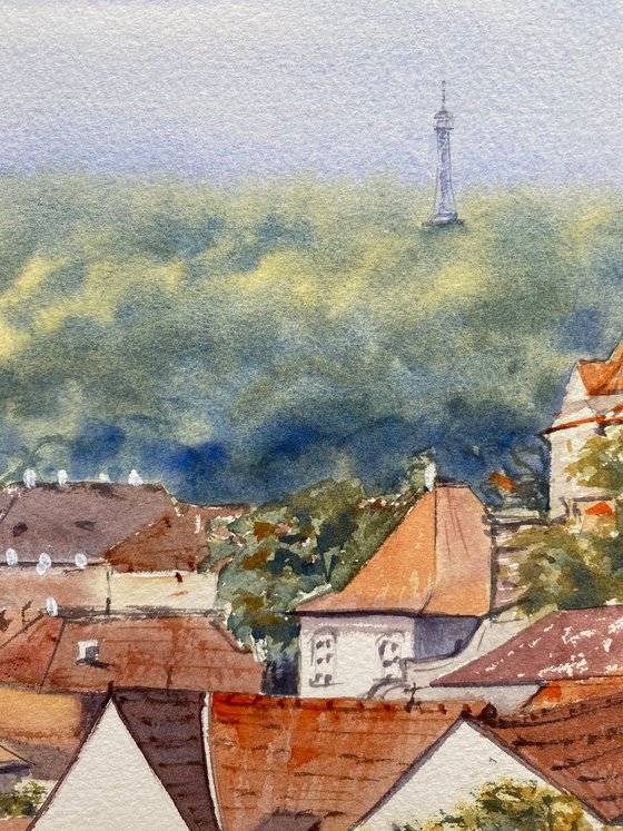Prague roofs