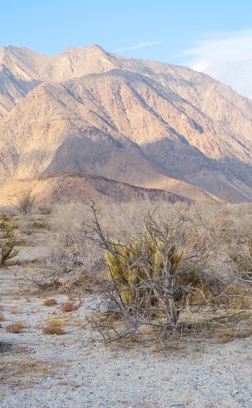 Anza Borrego #1 by Gary Moger