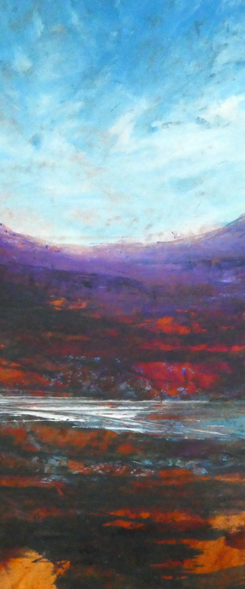 Wild Scourie by oconnart