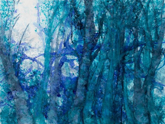 The witches trees 6