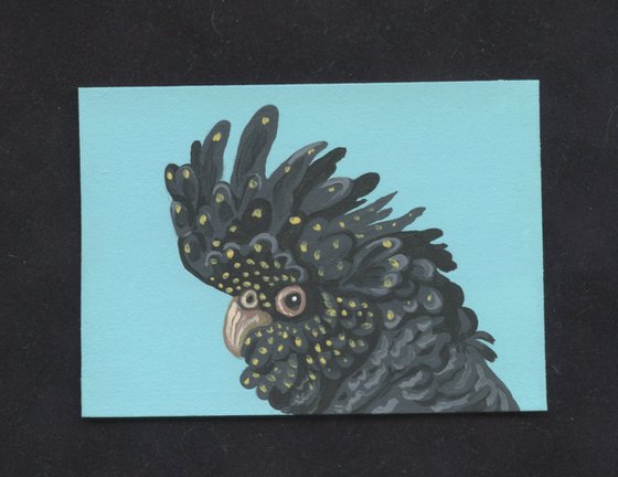 ACEO ATC Original Miniature Painting Red Tail Black Cockatoo Parrot Bird  Wildlife Art-Carla Smale