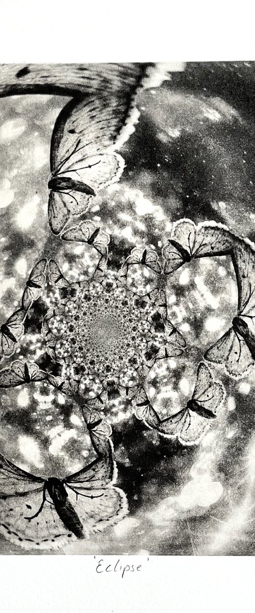 Eclipse by Michelle Hinshelwood