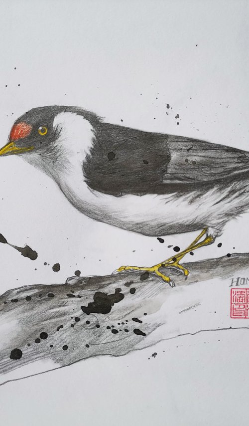 Drawing- Bird #20829 by Hongtao Huang