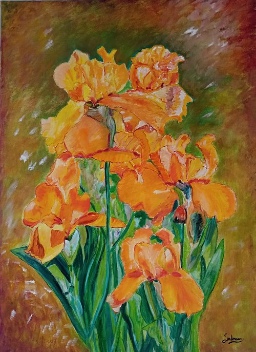 Orange irises - flowers by Isabelle Lucas