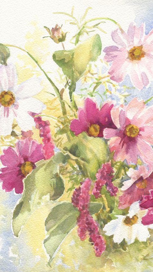 Cosmea / Summer bouquet Floral watercolor by Olha Malko