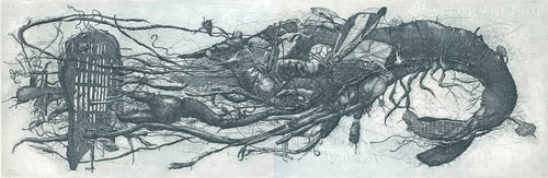 SHRIMP Free Graphic Etching by Konstantin Antioukhin