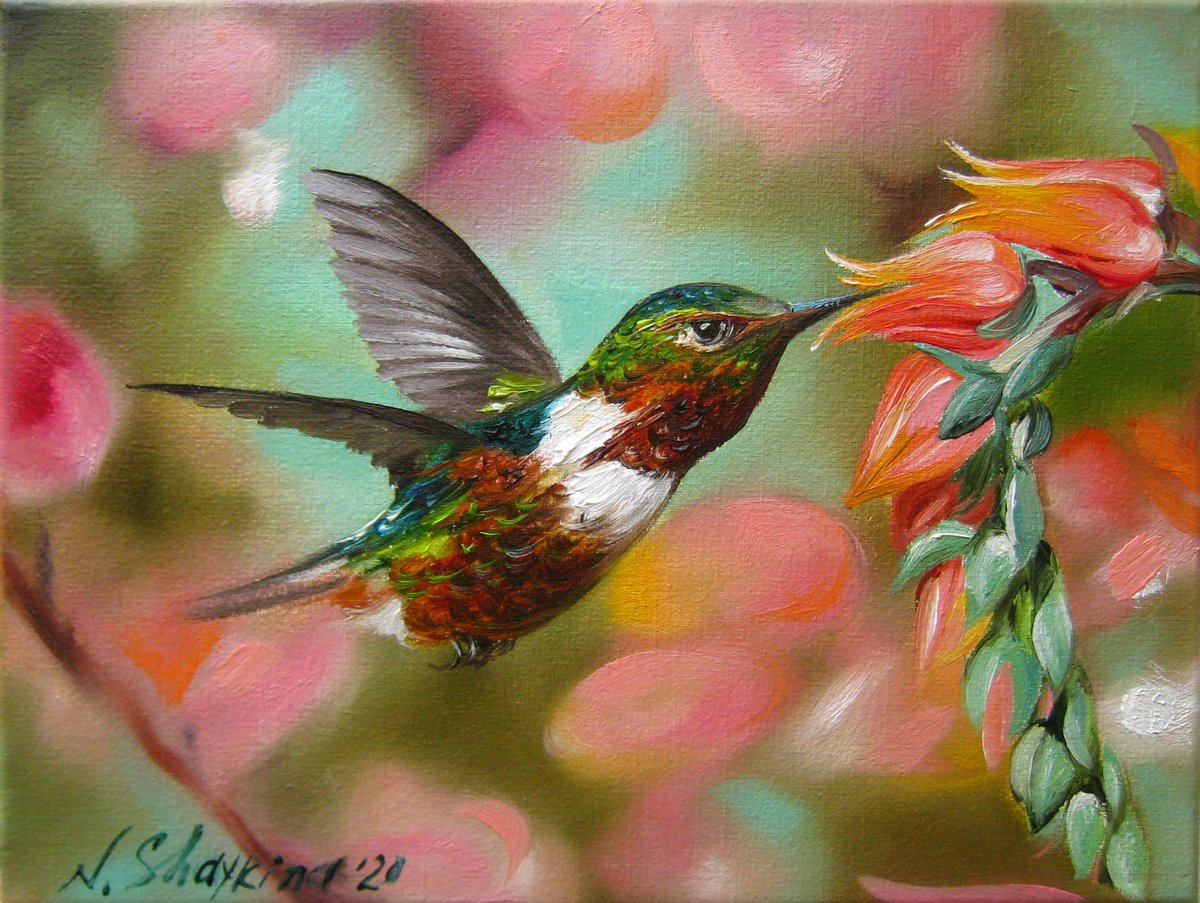 Hummingbird Original Oil Painting on Canvas, Hummingbird Lover Gift, Colorful Hummingbird... by Natalia Shaykina