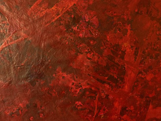 Hidden Beneath Red