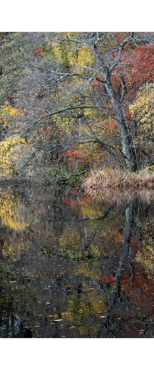 Monymusk Reflections II by David Baker