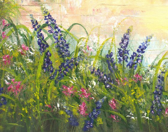 Sunset at the bluebonnet field