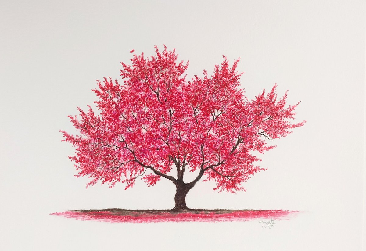 Crabapple tree II Pencil drawing by Shweta Mahajan Artfinder