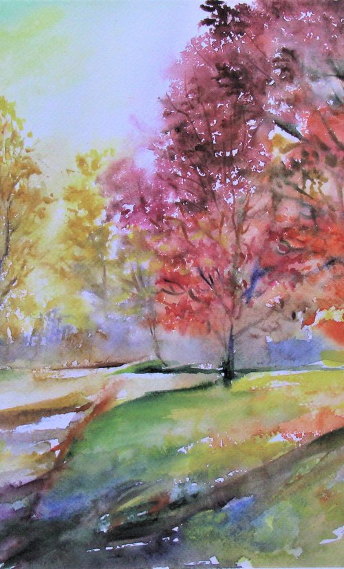 Autumn morning by Székelyhidi Zsolt