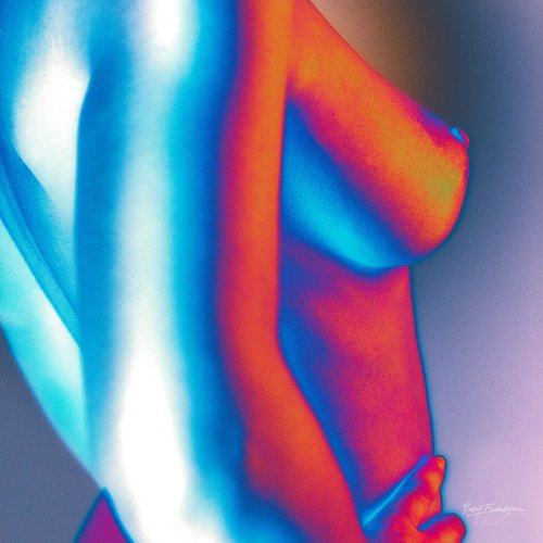 Colorful Nude I by Robbert Frank Hagens