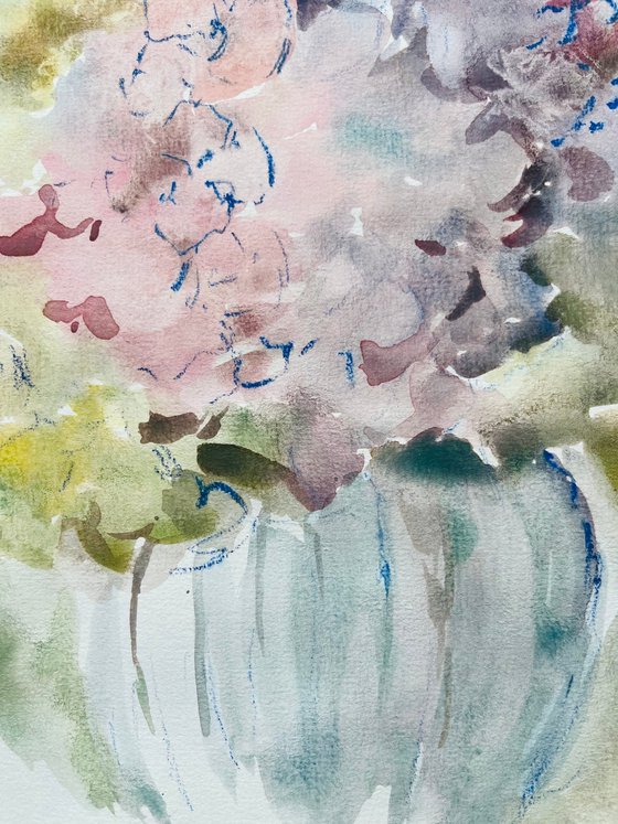 Hydrangea 6 2022
