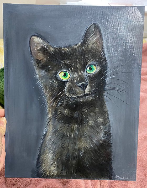 Midnight. Black cat on dark background painting