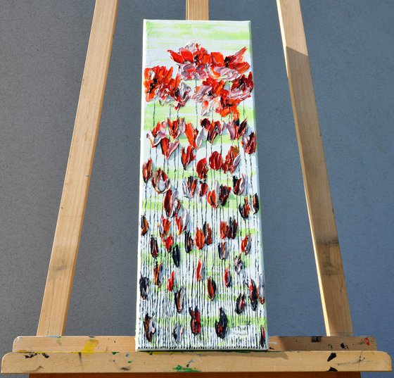 Poppy Flowers