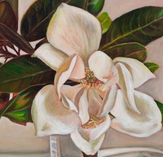 Magnolia