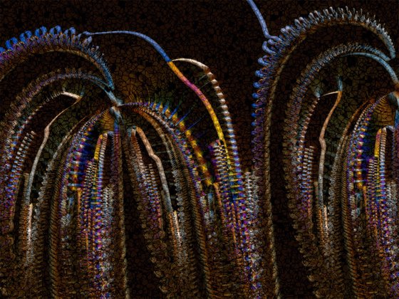Medusas 2